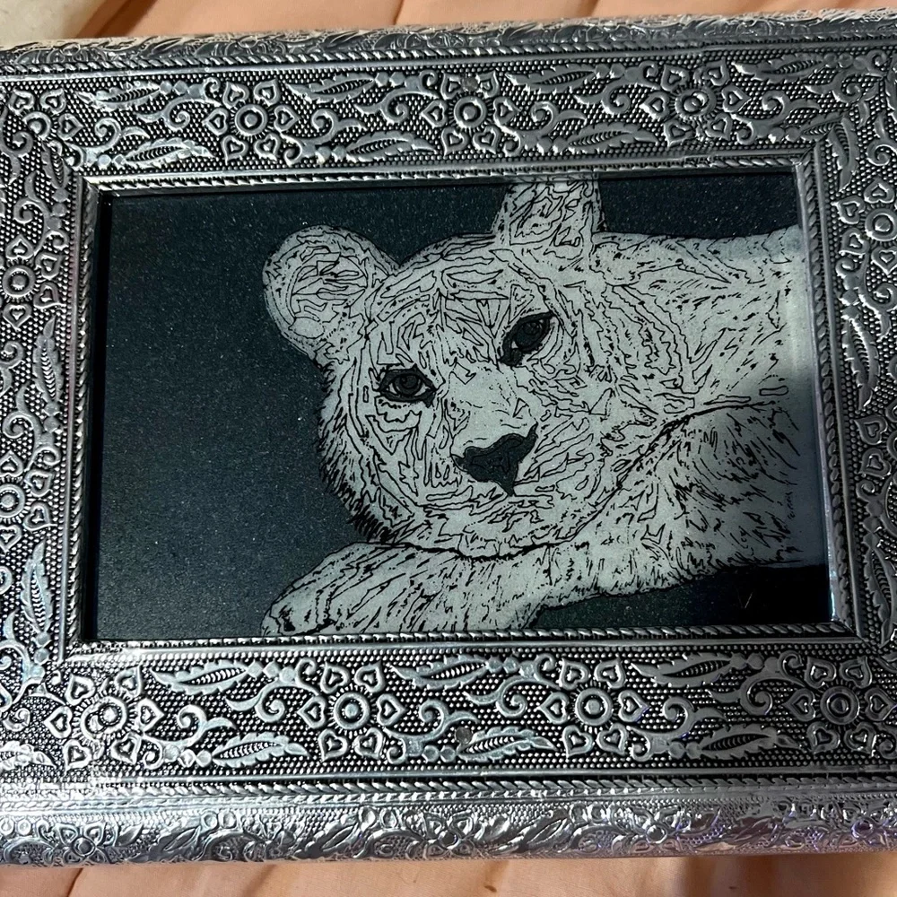 Host Pick: Cub Shungite Aluminum Jewelry box
